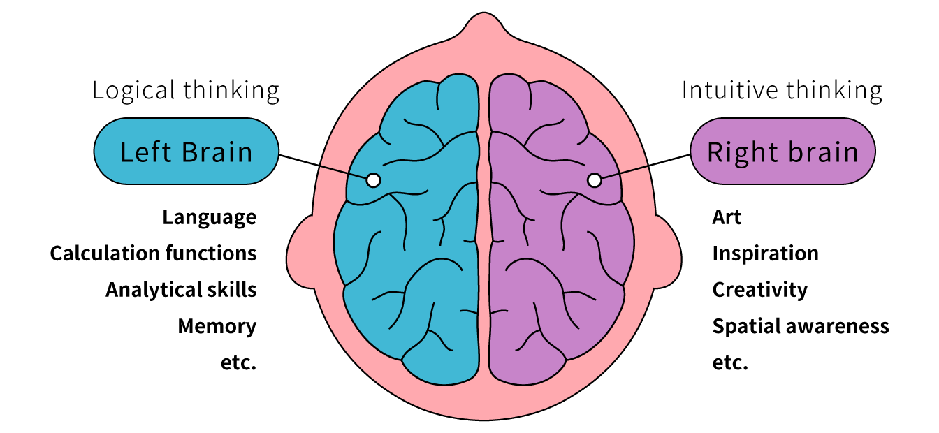 右脳左脳