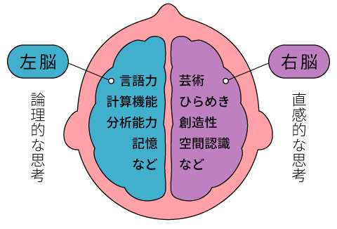 右脳左脳