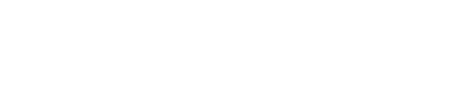 Ninja Stealth Watch 