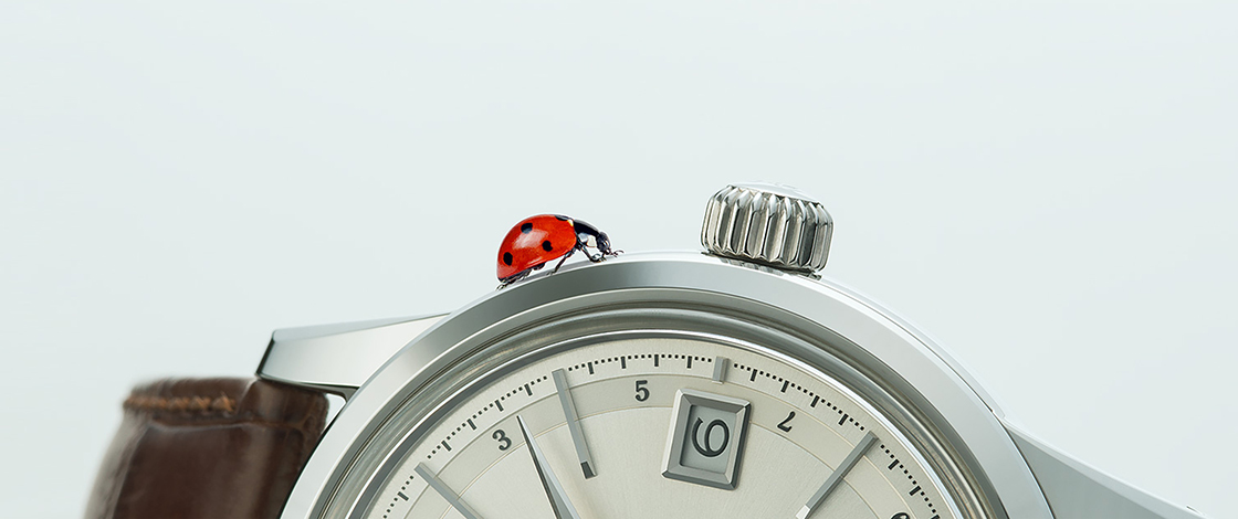 Vol.1 Designing watches from a bug’s-eye view.