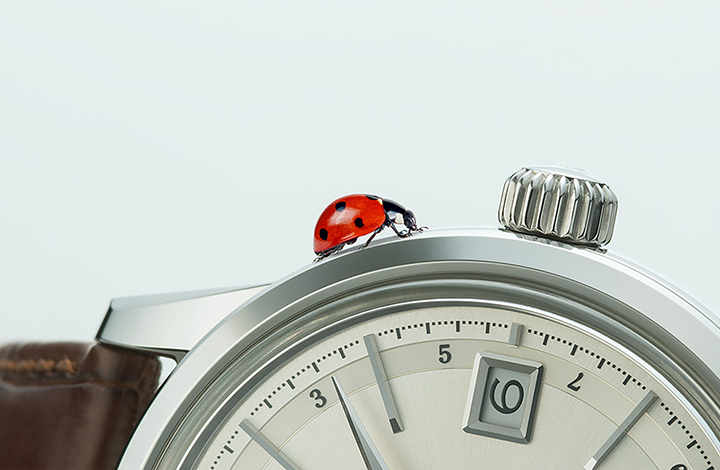 Vol.1 Designing watches from a bug’s-eye view.