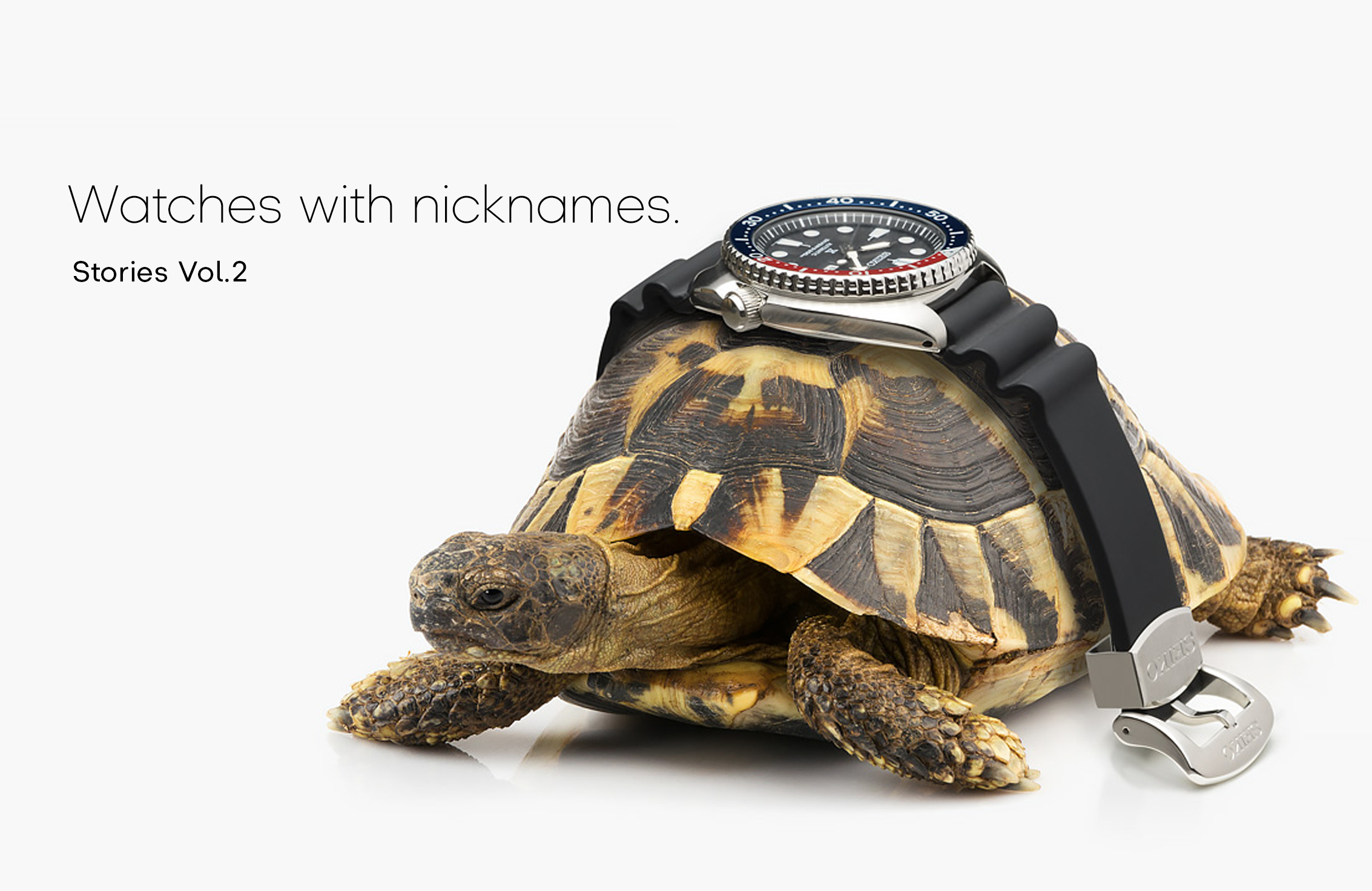 Vol.2 Watches with nicknames