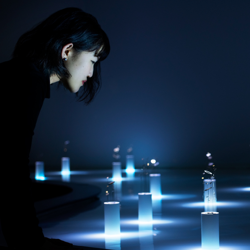 Photo of Koriyama looking into the special luminescent liquid of the FLUX installation