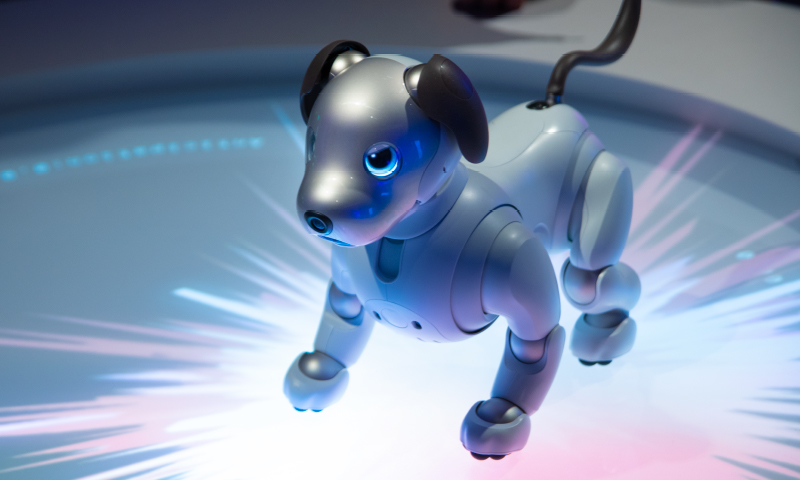 Photo of aibo on display