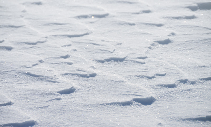 風紋が刻まれた雪面の写真