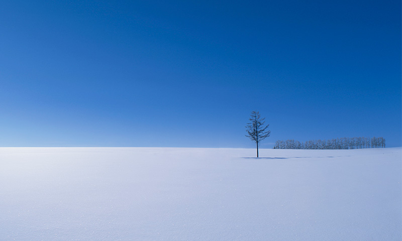 Photo of snow field and blue sky