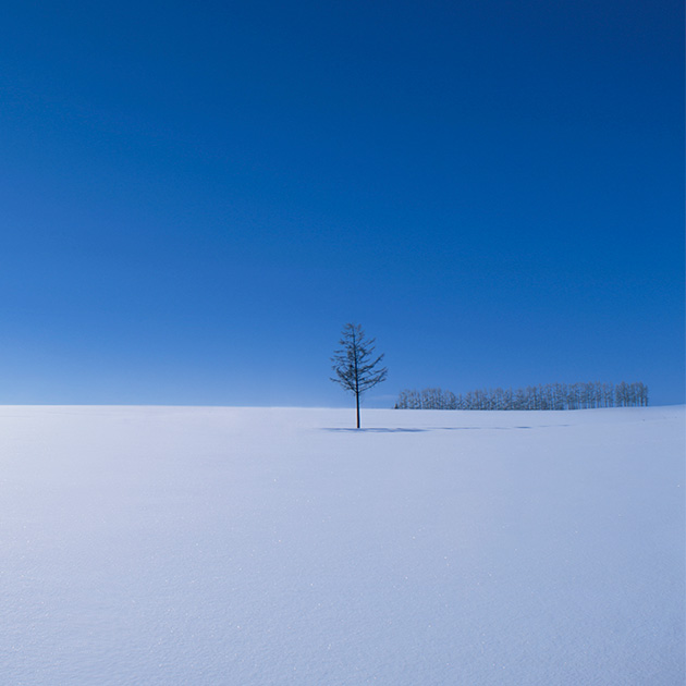 雪原と青い空の写真