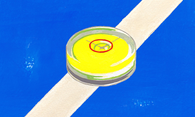 Illustration of the Spirit Level Watch